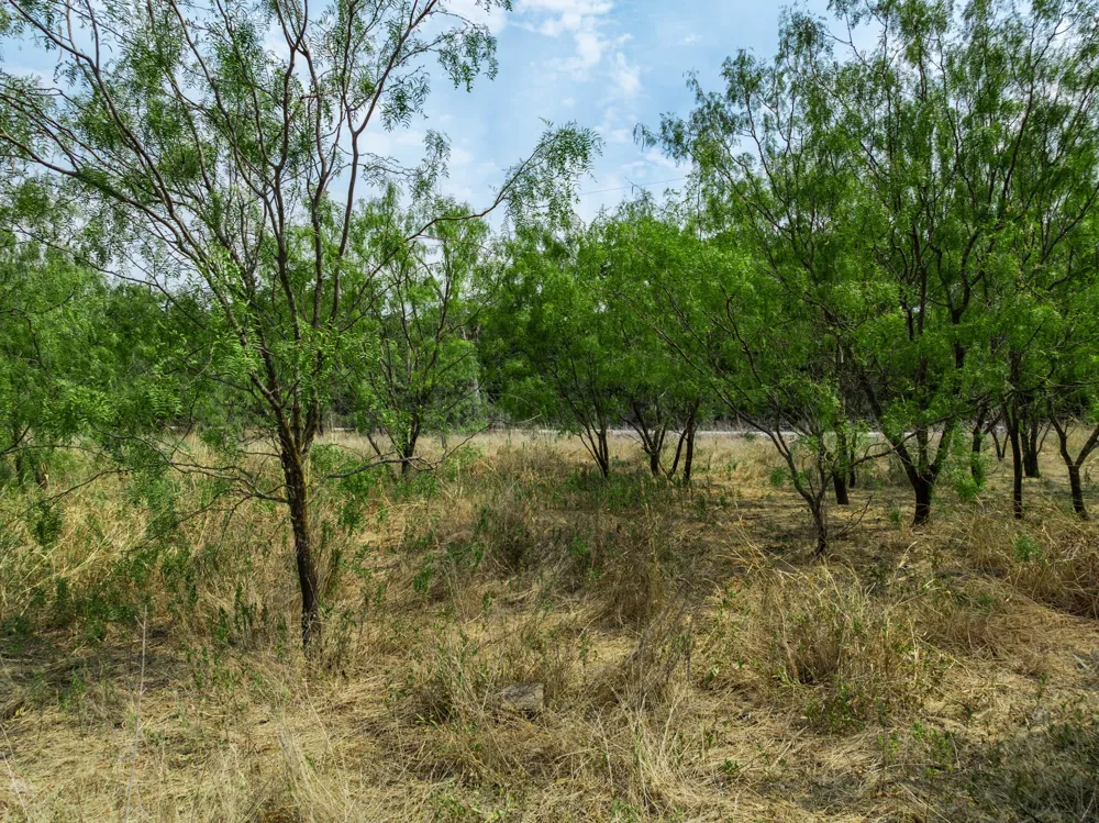 438 Hcr 2205 Aquilla, TX 76622