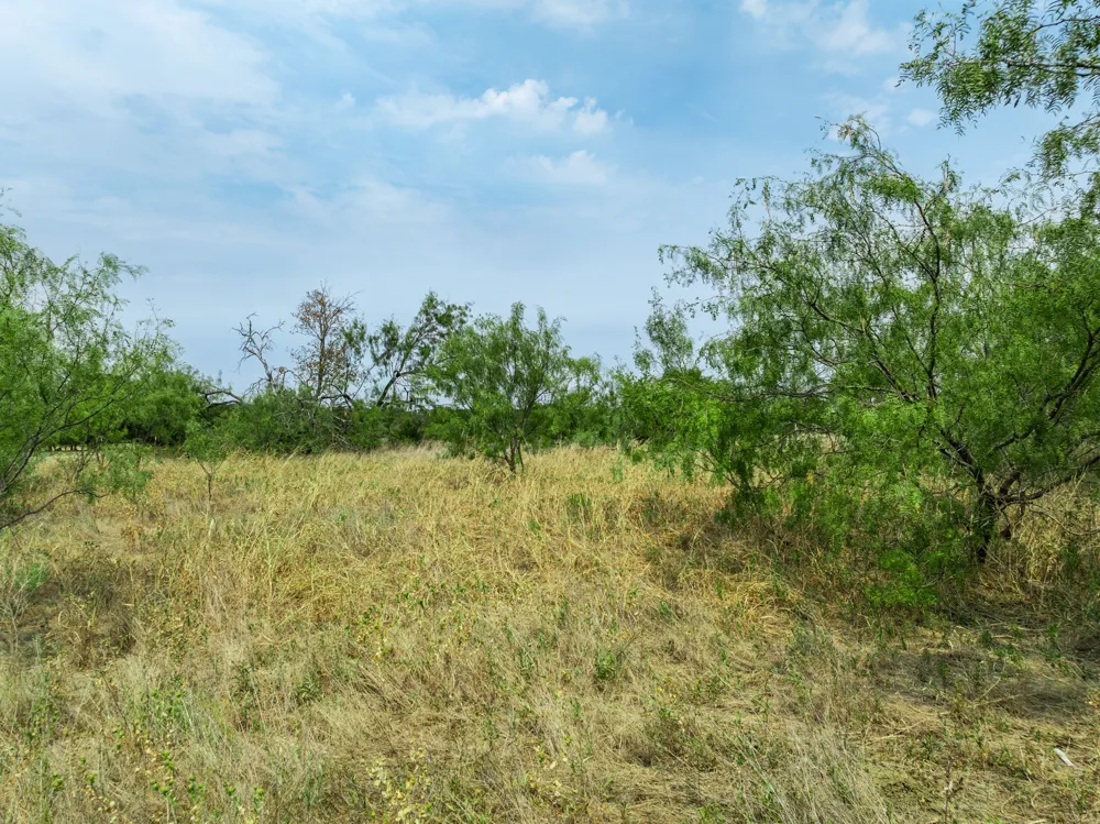 438 Hcr 2205 Aquilla, TX 76622