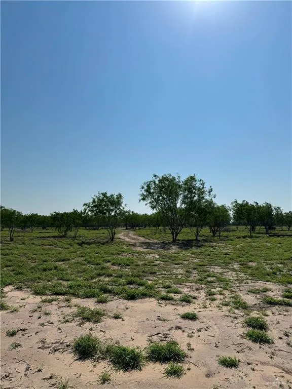 19882 Villa Hermosa Drive Penitas, TX 78576
