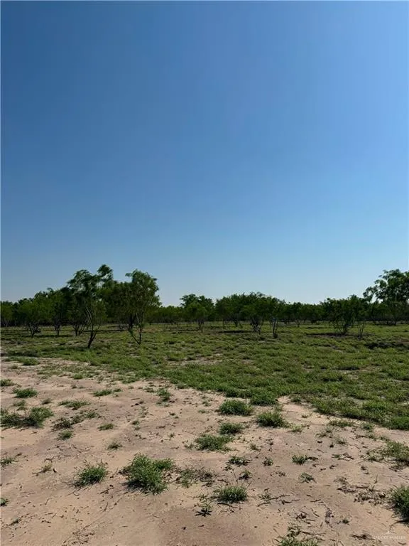 19882 Villa Hermosa Drive Penitas, TX 78576
