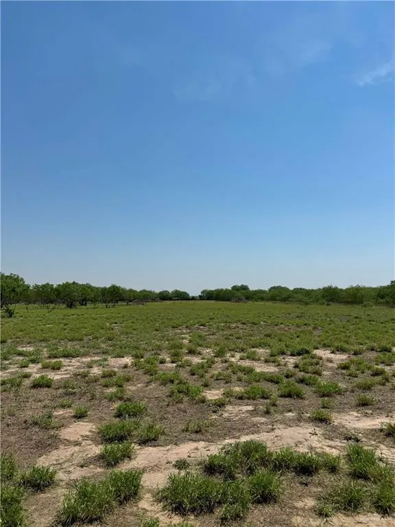 19882 Villa Hermosa Drive Penitas, TX 78576