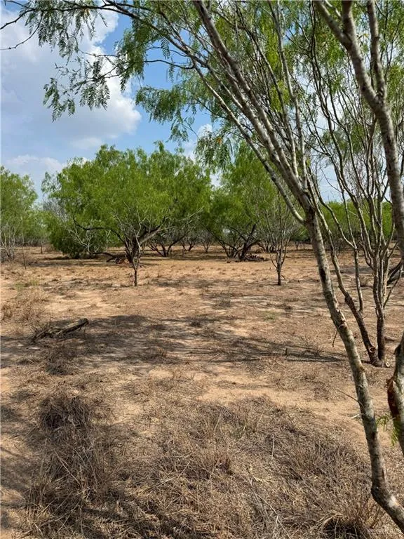 19882 Villa Hermosa Drive Penitas, TX 78576