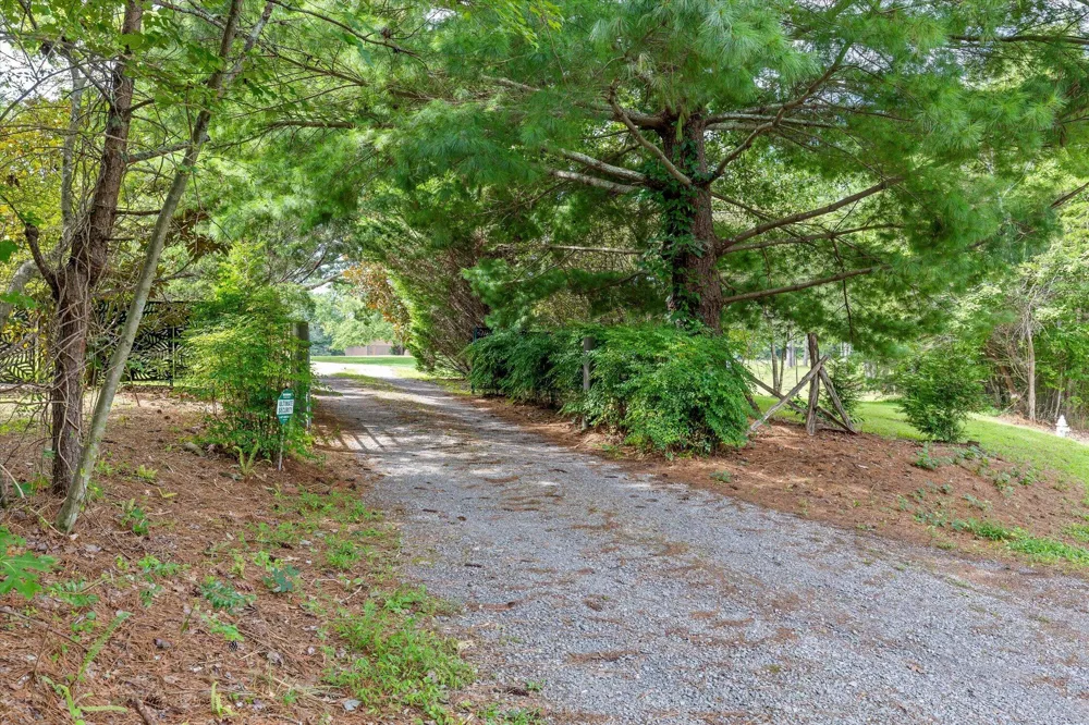 223 County Road 644 Mentone, AL 35984