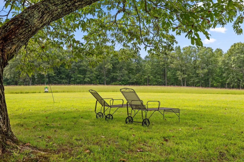 223 County Road 644 Mentone, AL 35984