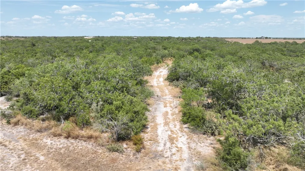 308 County Road 357 Sandia, TX 78383