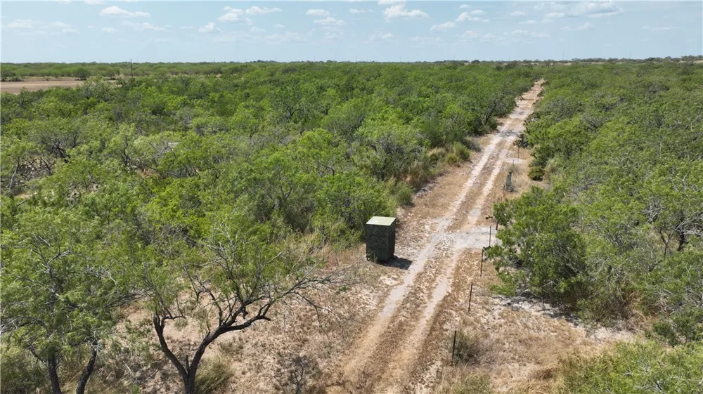 308 County Road 357 Sandia, TX 78383