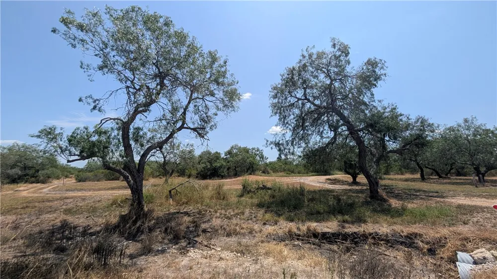 308 County Road 357 Sandia, TX 78383