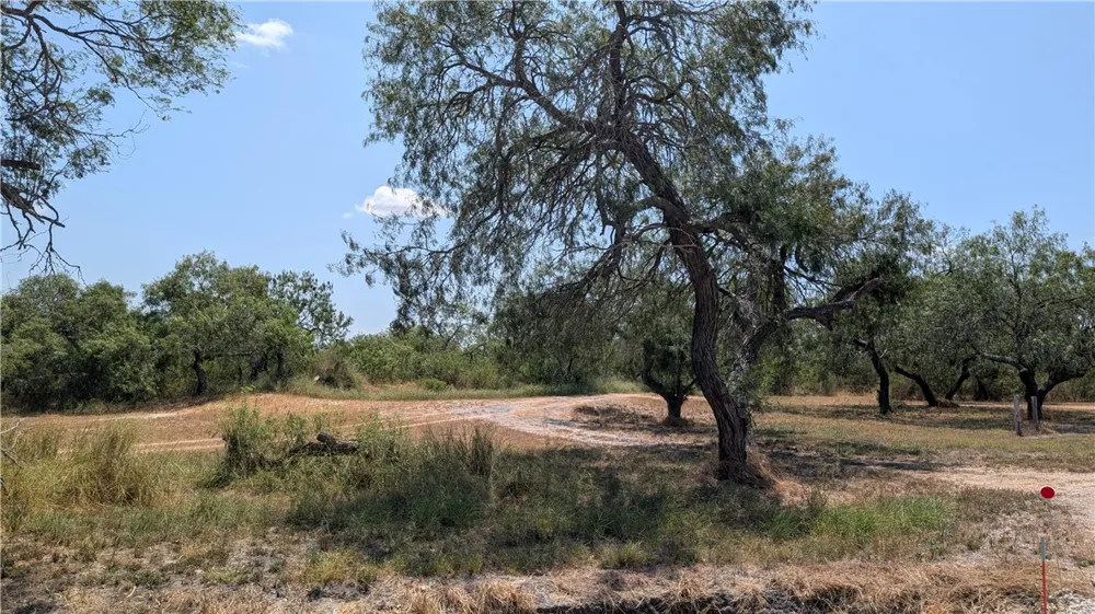 308 County Road 357 Sandia, TX 78383