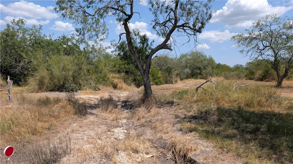 308 County Road 357 Sandia, TX 78383