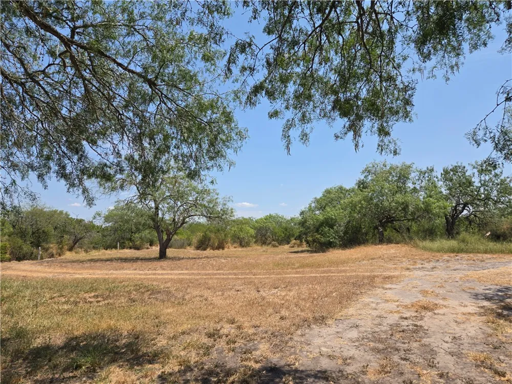 308 County Road 357 Sandia, TX 78383