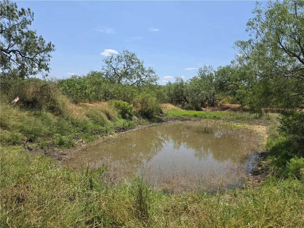 308 County Road 357 Sandia, TX 78383