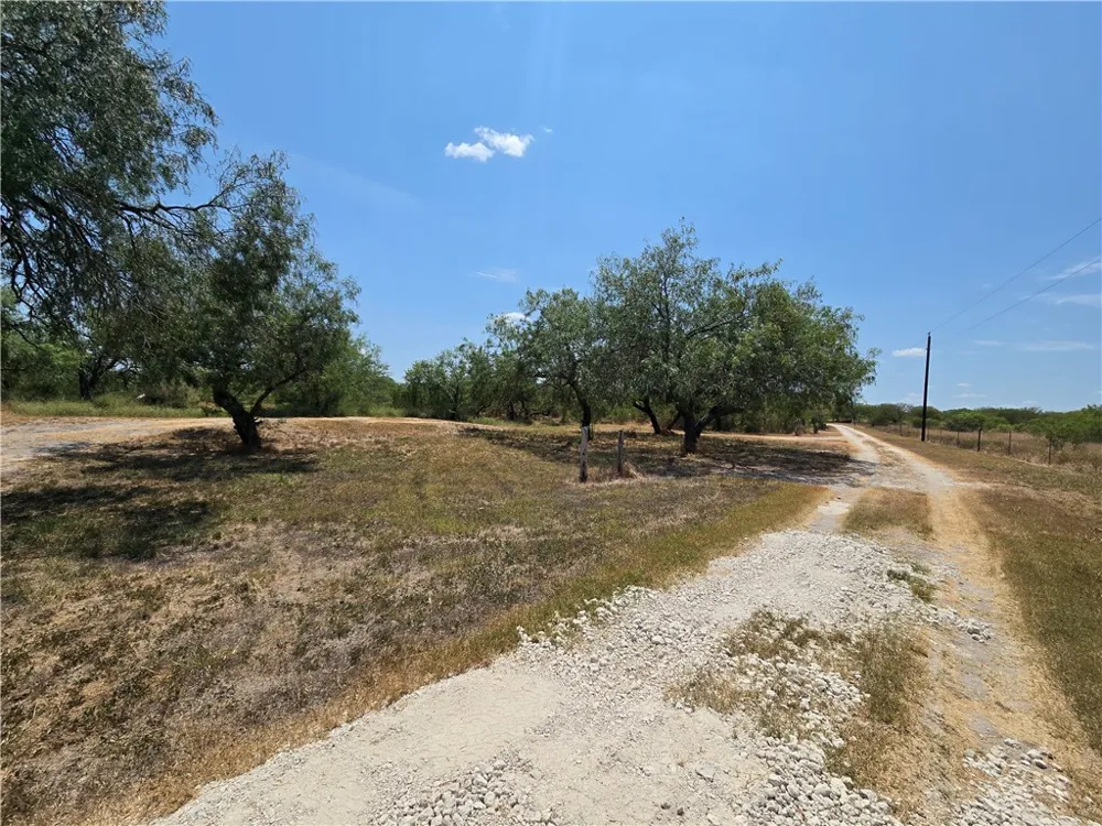 308 County Road 357 Sandia, TX 78383