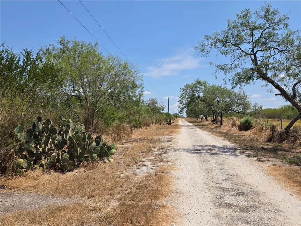 308 County Road 357 Sandia, TX 78383