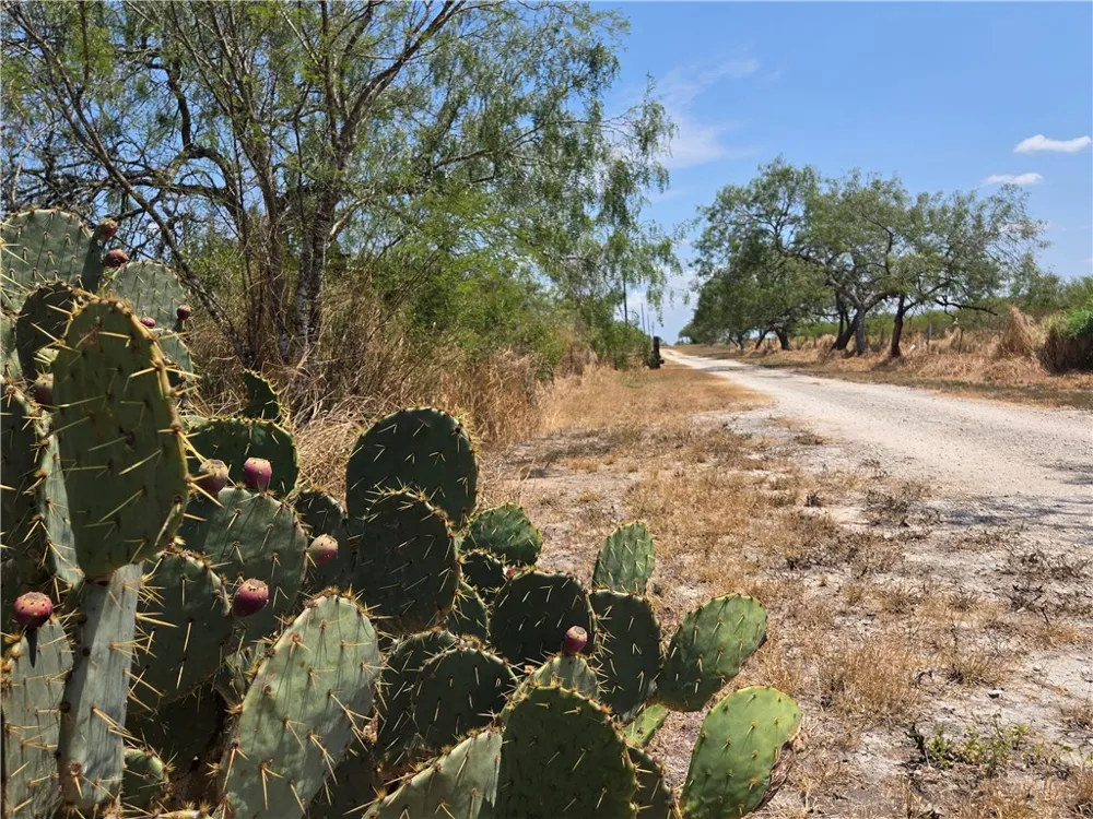 308 County Road 357 Sandia, TX 78383