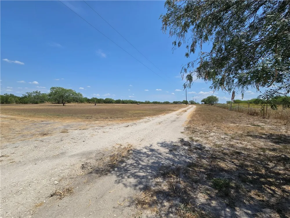 308 County Road 357 Sandia, TX 78383