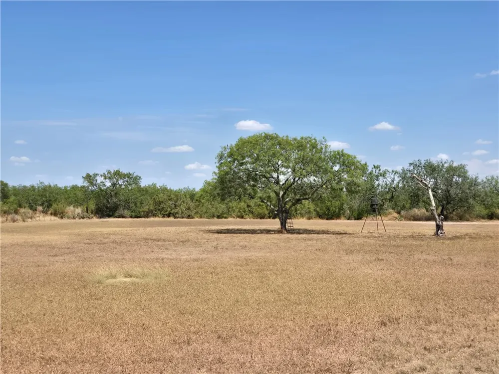 308 County Road 357 Sandia, TX 78383