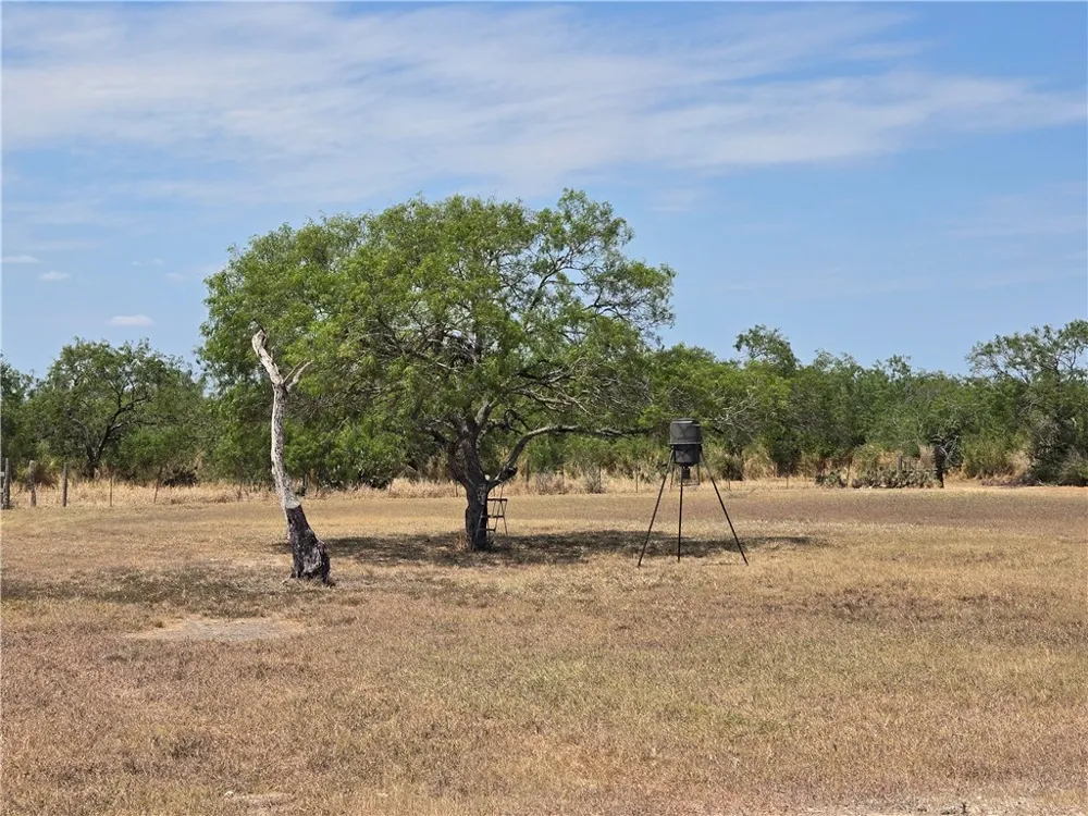 308 County Road 357 Sandia, TX 78383