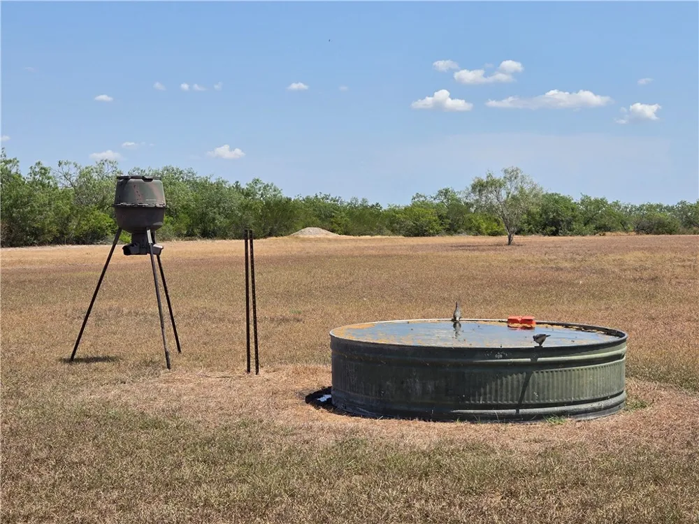 308 County Road 357 Sandia, TX 78383
