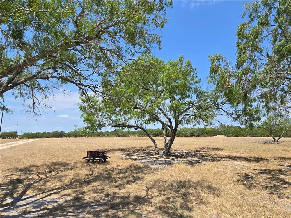 308 County Road 357 Sandia, TX 78383