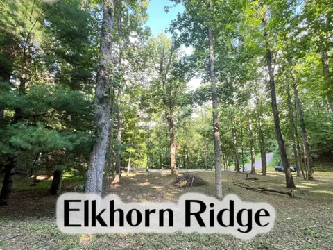 Elkhorn Ridge Dr