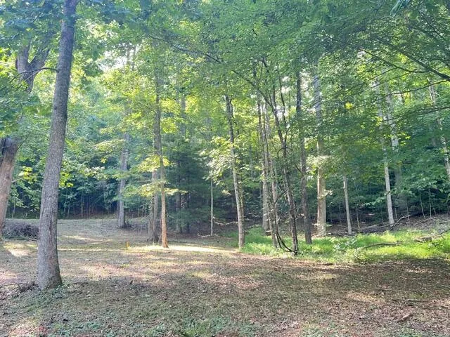 Elkhorn Ridge Dr Franklin, NC 28734