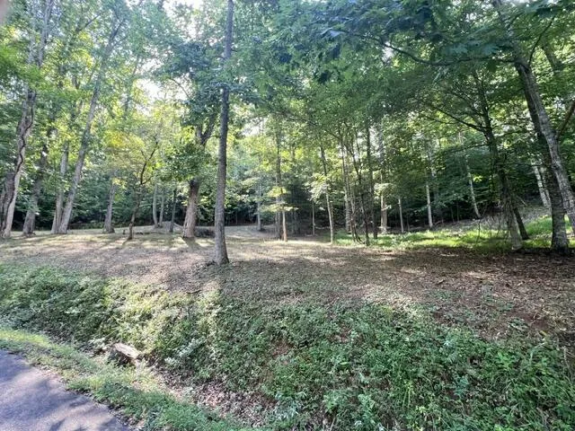 Elkhorn Ridge Dr Franklin, NC 28734