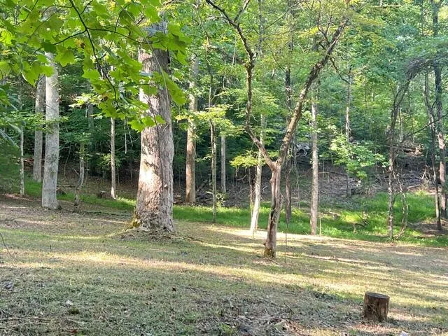 Elkhorn Ridge Dr Franklin, NC 28734