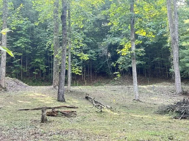 Elkhorn Ridge Dr Franklin, NC 28734