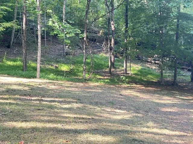 Elkhorn Ridge Dr Franklin, NC 28734