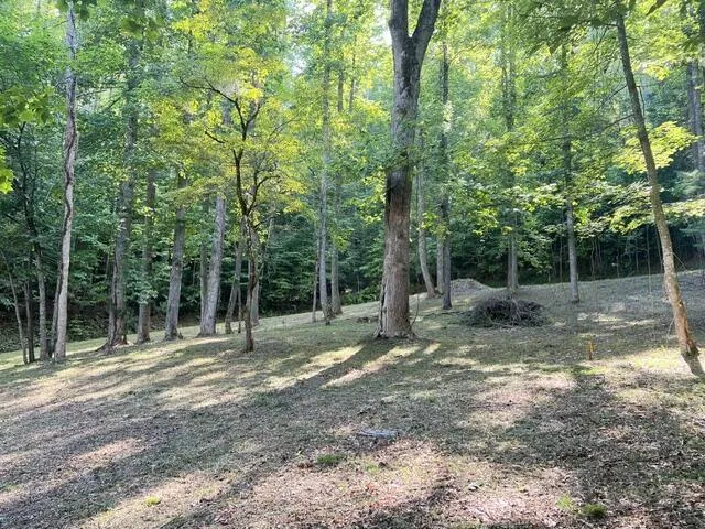 Elkhorn Ridge Dr Franklin, NC 28734