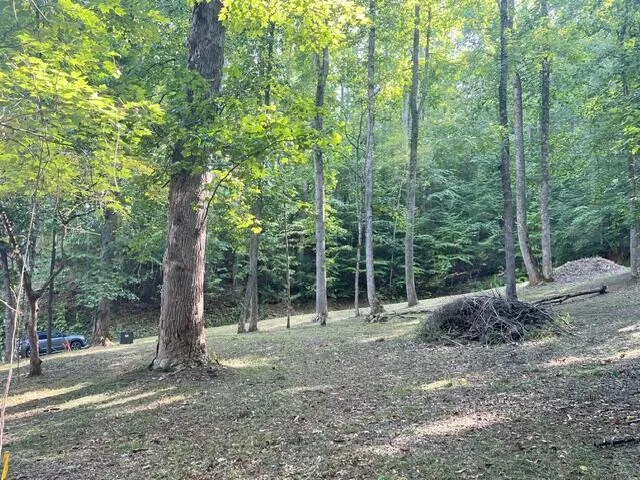 Elkhorn Ridge Dr Franklin, NC 28734