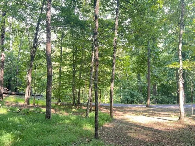 Elkhorn Ridge Dr Franklin, NC 28734