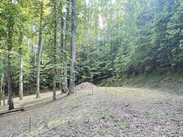 Elkhorn Ridge Dr Franklin, NC 28734