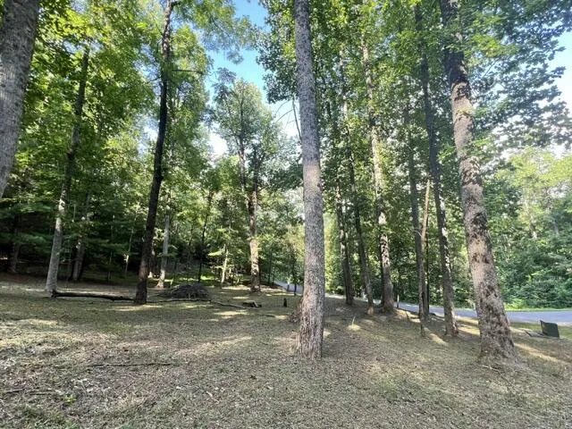 Elkhorn Ridge Dr Franklin, NC 28734