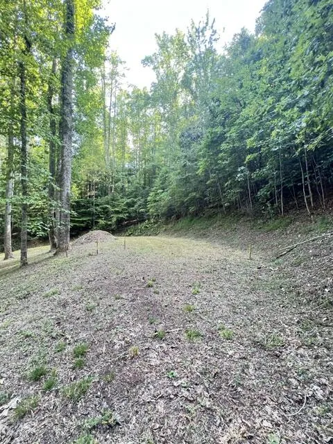 Elkhorn Ridge Dr Franklin, NC 28734