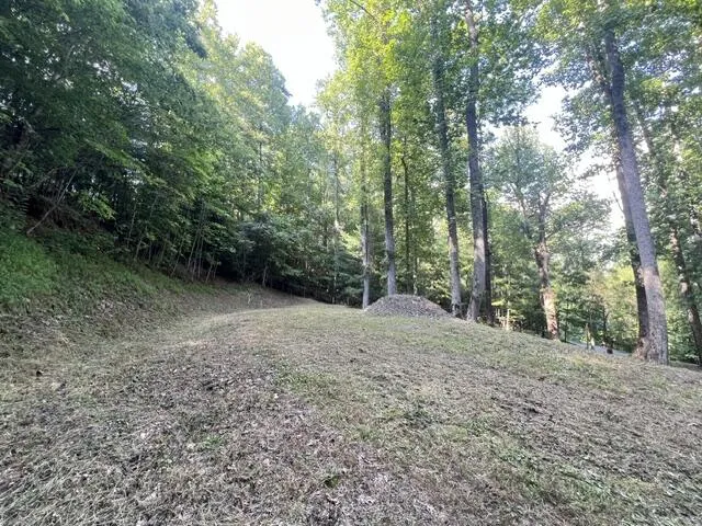 Elkhorn Ridge Dr Franklin, NC 28734