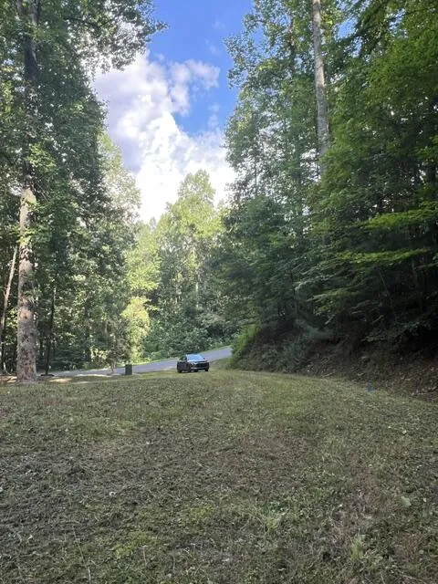 Elkhorn Ridge Dr Franklin, NC 28734