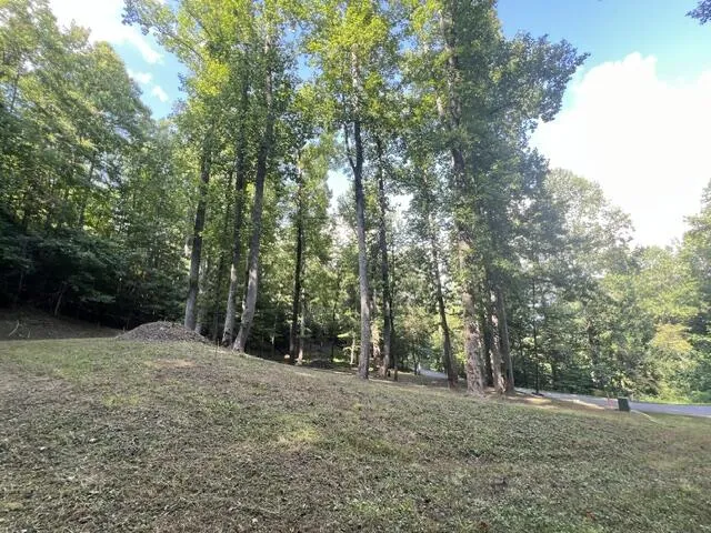 Elkhorn Ridge Dr Franklin, NC 28734