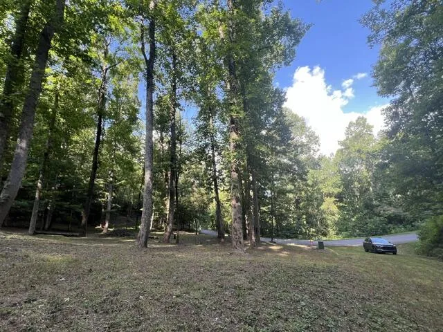 Elkhorn Ridge Dr Franklin, NC 28734