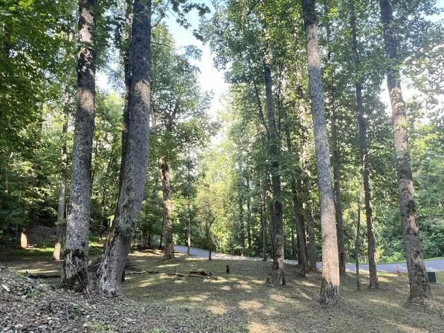 Elkhorn Ridge Dr Franklin, NC 28734
