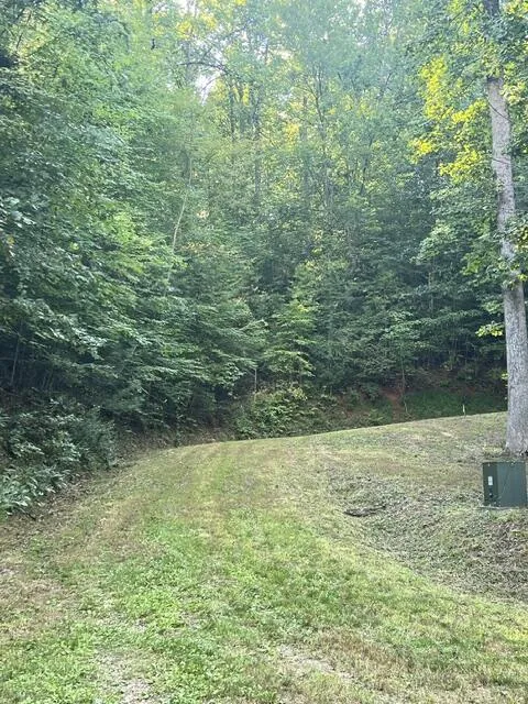 Elkhorn Ridge Dr Franklin, NC 28734