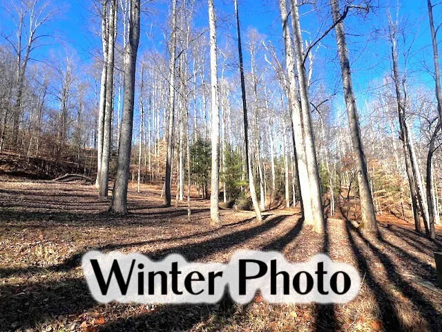 Elkhorn Ridge Dr Franklin, NC 28734