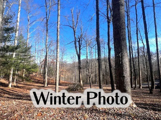 Elkhorn Ridge Dr Franklin, NC 28734
