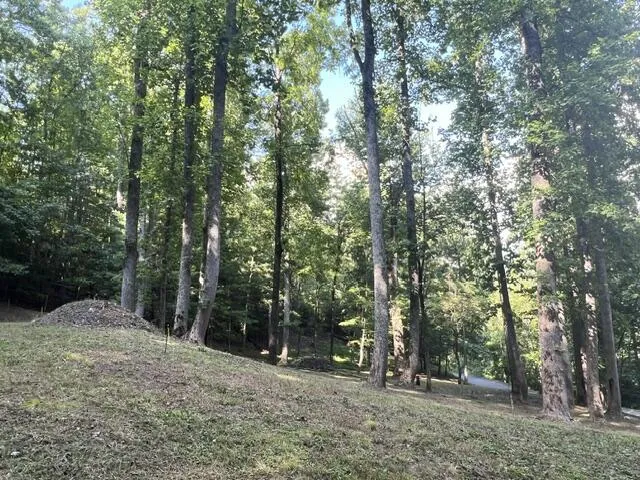 Elkhorn Ridge Dr Franklin, NC 28734