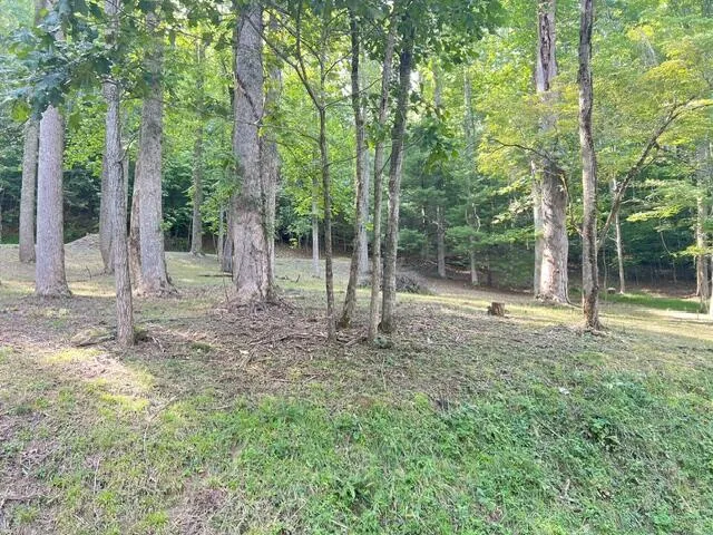 Elkhorn Ridge Dr Franklin, NC 28734