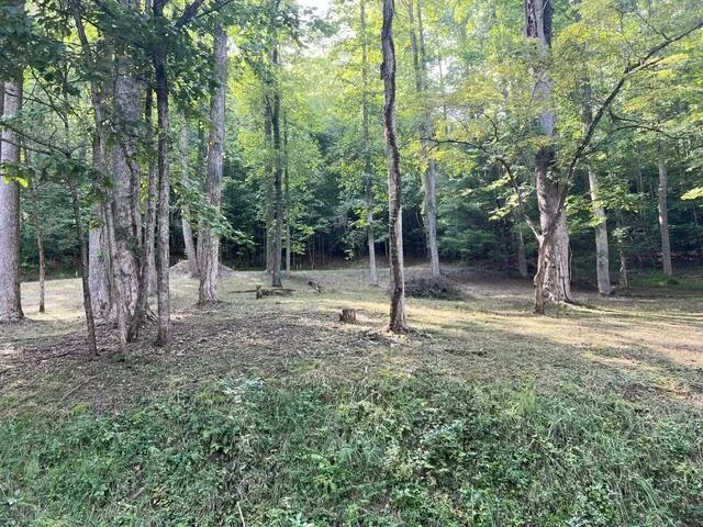 Elkhorn Ridge Dr Franklin, NC 28734