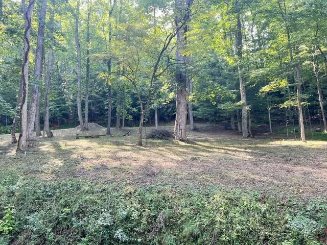 Elkhorn Ridge Dr Franklin, NC 28734