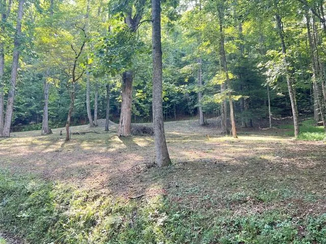 Elkhorn Ridge Dr Franklin, NC 28734