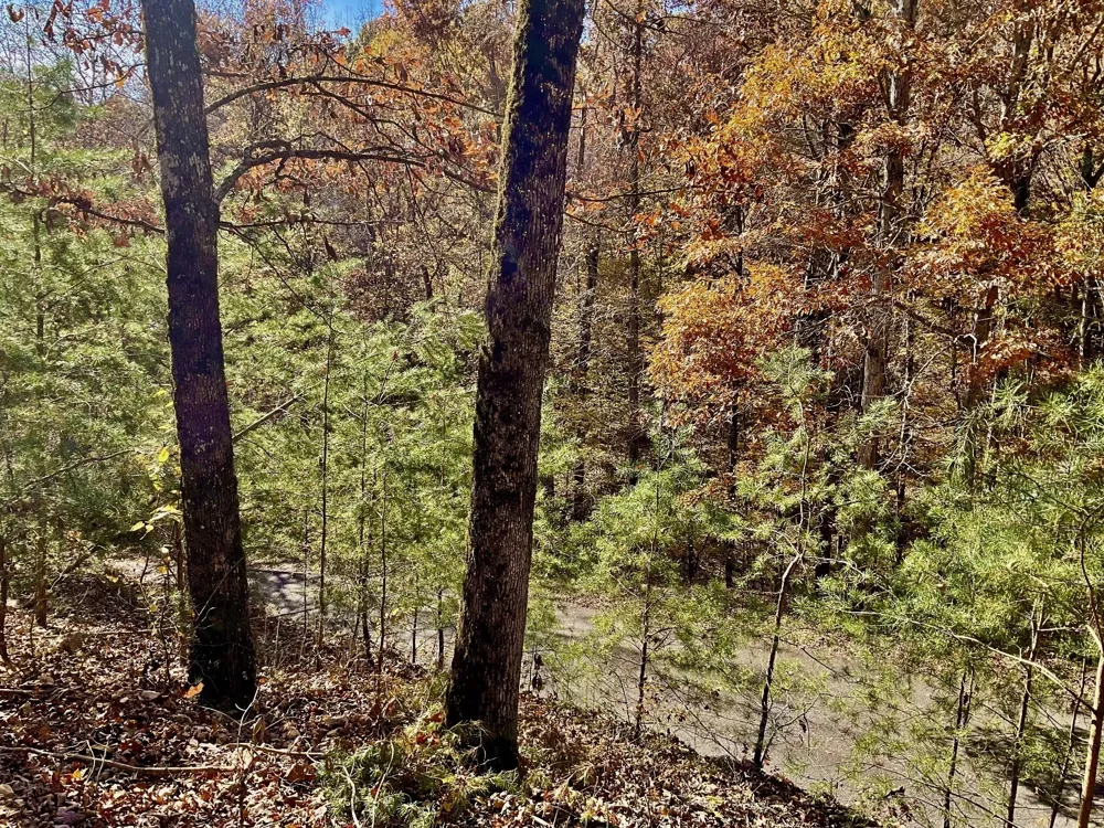 0 Forrest Crossing Waverly, TN 37185
