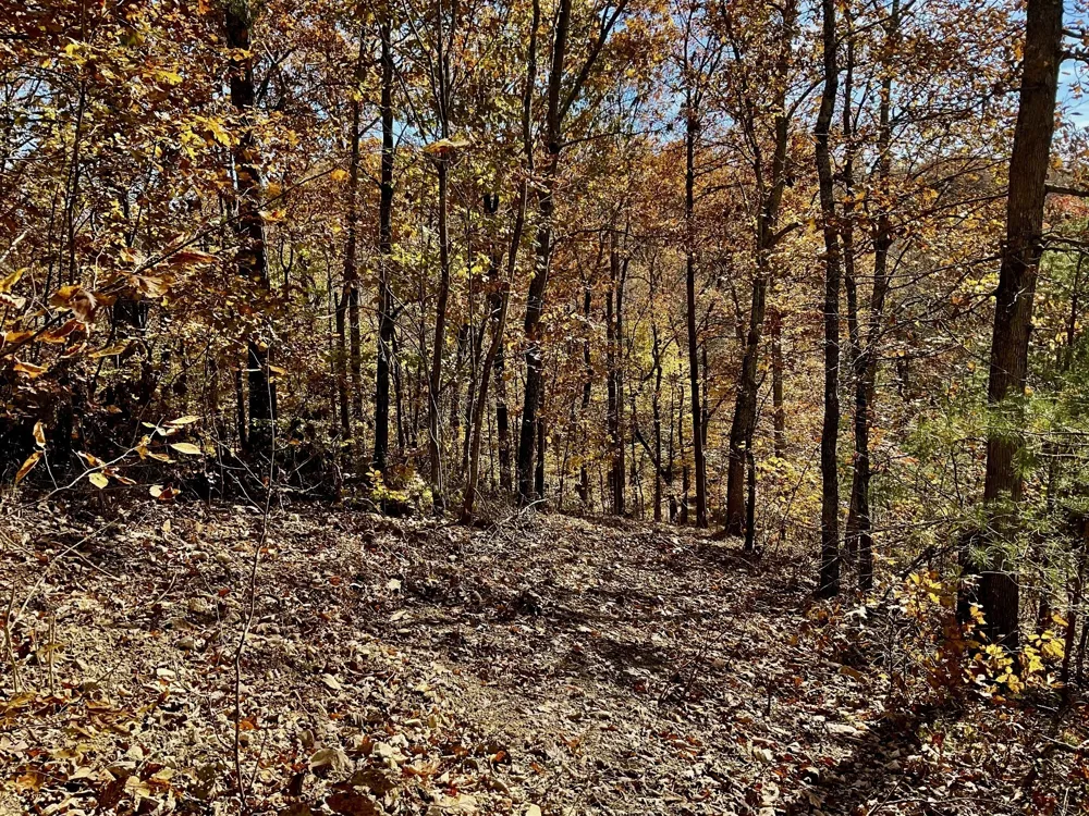 0 Forrest Crossing Waverly, TN 37185